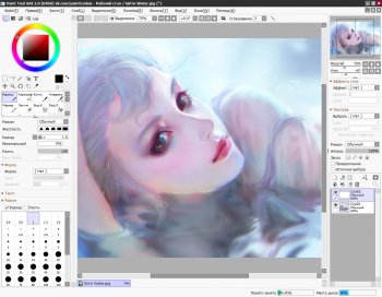 Paint Tool SAI v1.2.5  