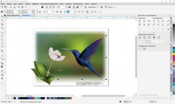 CorelDRAW 2018 20.1.0.708   