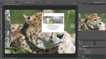 Photoshop CS6 Portable  