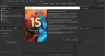 Adobe Bridge 2020 10.1.1.166 RePack by KpoJIuK