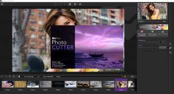 inPixio Photo Cutter 10.4.7584 (2020