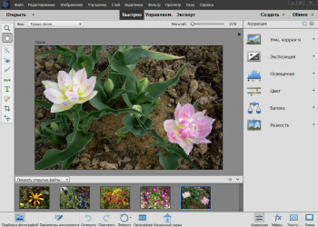 Adobe Photoshop Elements 2021 19.0 (2020)