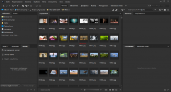 Adobe Bridge 2021 11.1.0.175