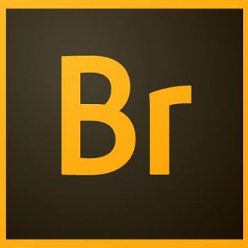 Adobe Bridge 2021 11.1.0.175