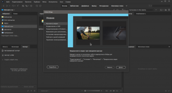 Adobe Bridge 2021 11.1.0.175