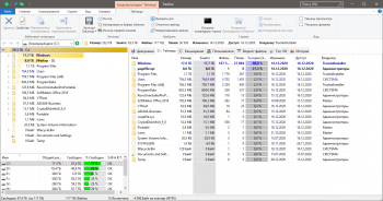 TreeSize Professional 8.1.2.1575 