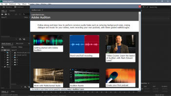 Adobe Audition 2020 13.0.13.46 [x64]