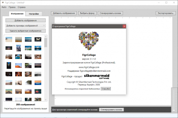 FigrCollage Professional 3.1.1.0 RePack & Portable