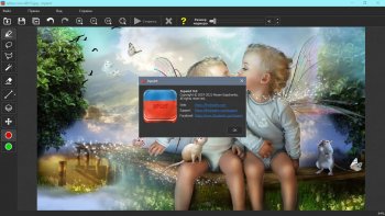 Teorex InPaint 9.0 (2021) 