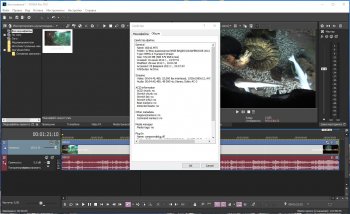 MAGIX Vegas Pro 19.0 Build 381 [x64]