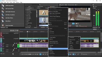 MAGIX VEGAS Movie Studio 17.0.0.221 Platinum