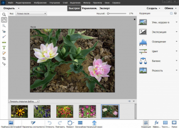 Adobe Photoshop Elements 2022 20.0