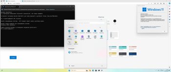 Windows 11 Pro x64   2025
