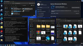 Windows 11 Enterprise Rus  2025